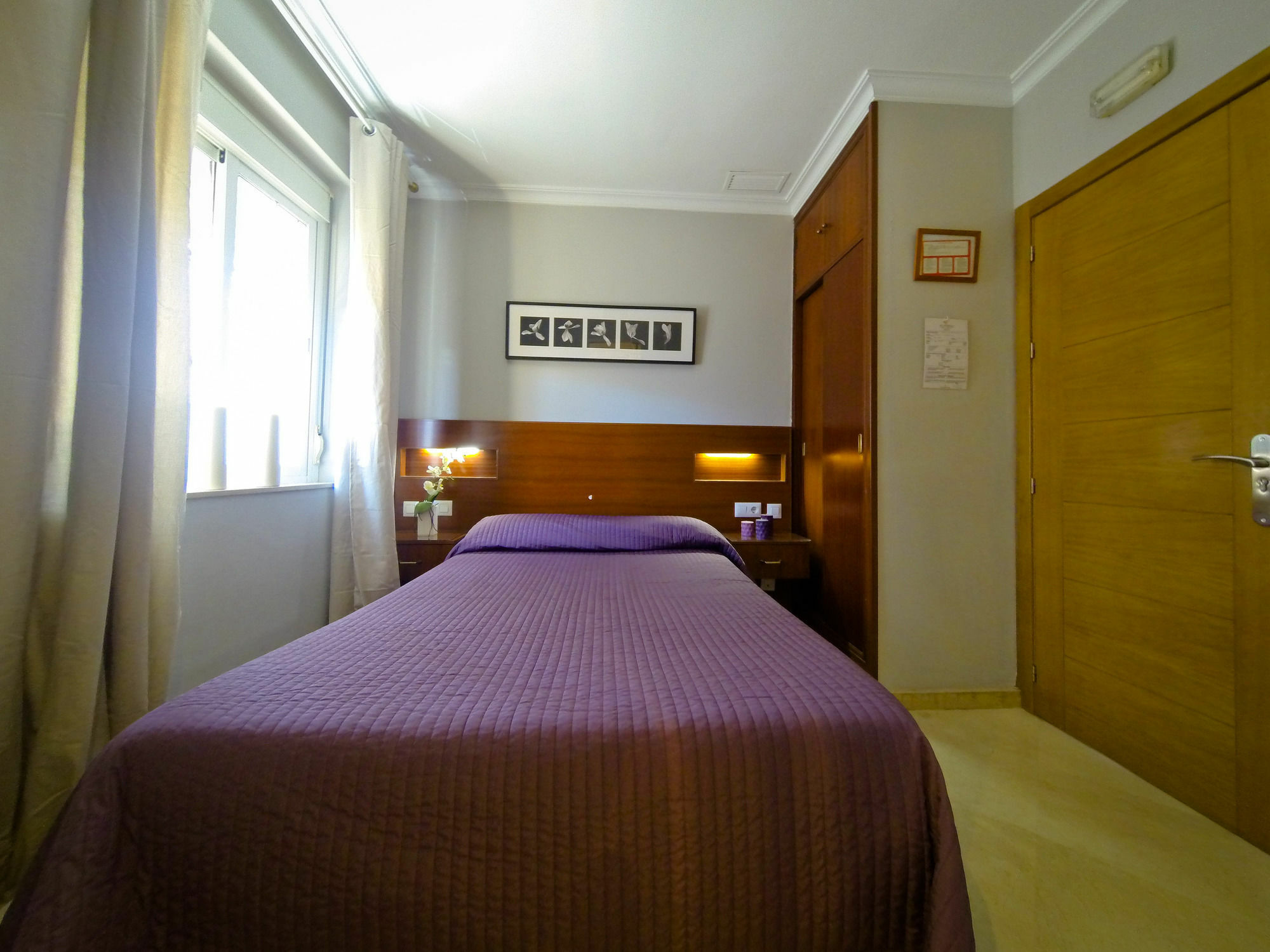 Hostal La Muralla Sevilla Exteriör bild
